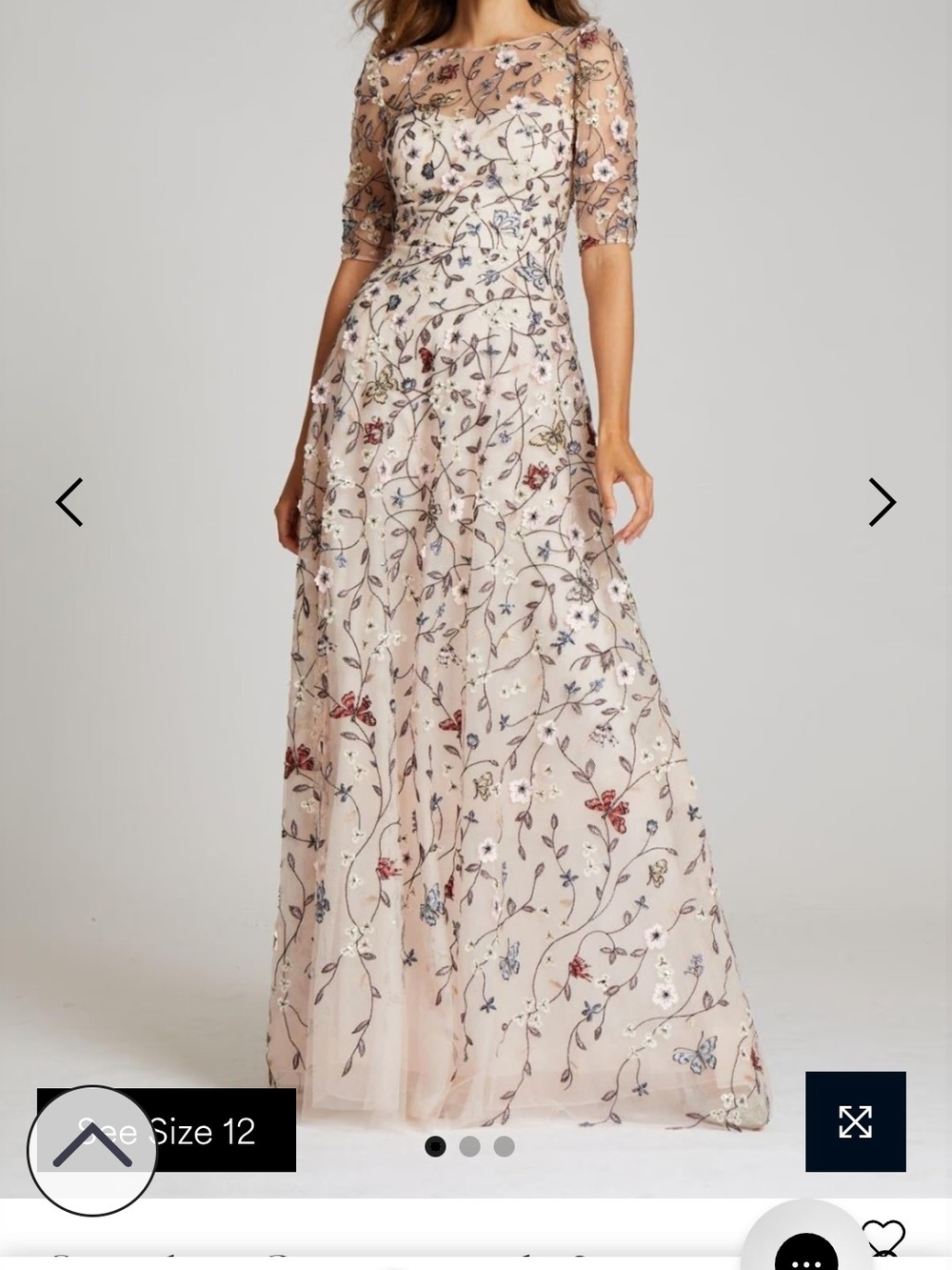 Teri Jon Blush Embroidered Floral Illusion Maxi Dress